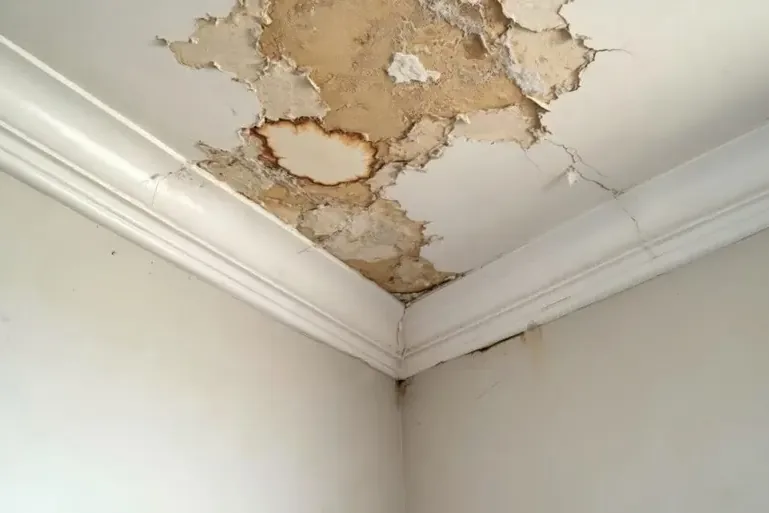Water stains spreading across a ceiling below a leak